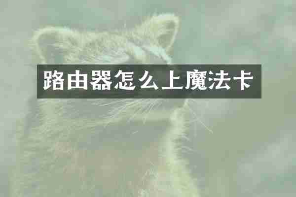 路由器怎么上魔法卡