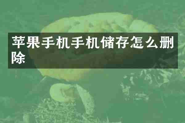 苹果手机手机储存怎么删除
