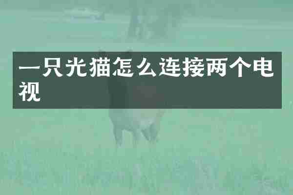 一只光猫怎么连接两个电视