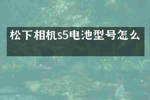 松下相机s5电池型号怎么看