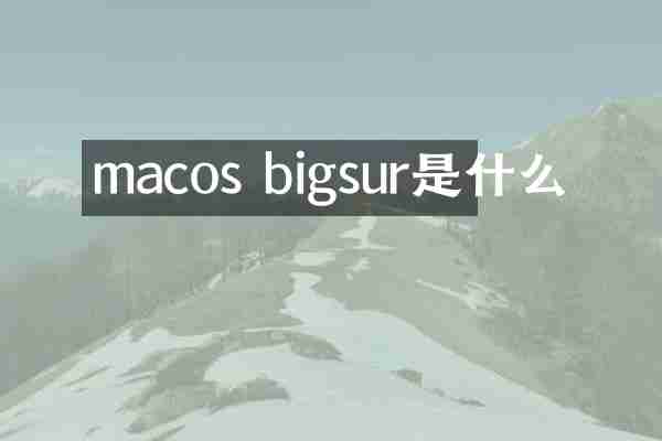 macos bigsur是什么