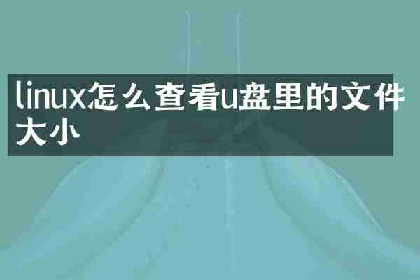 linux怎么查看u盘里的文件大小