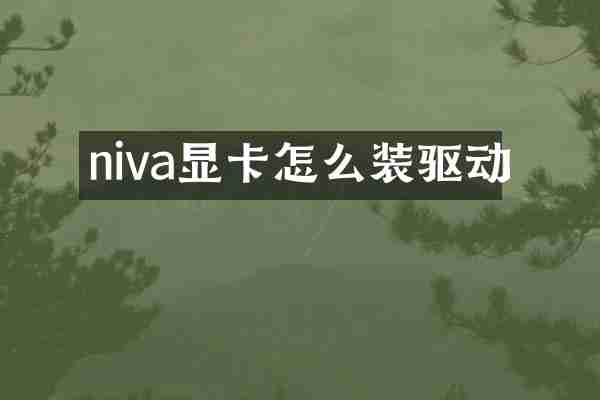 niva显卡怎么装驱动