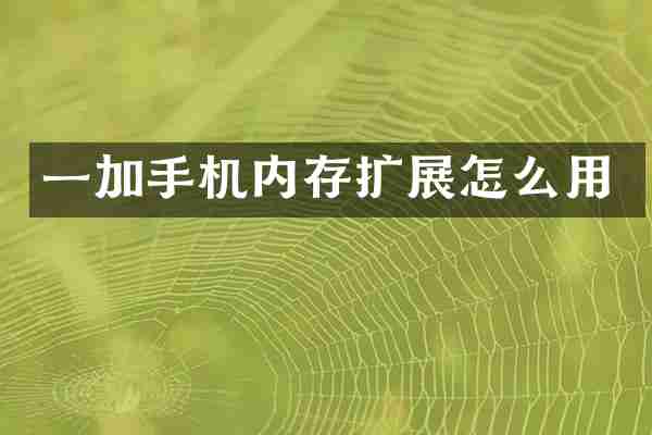 一加手机内存扩展怎么用