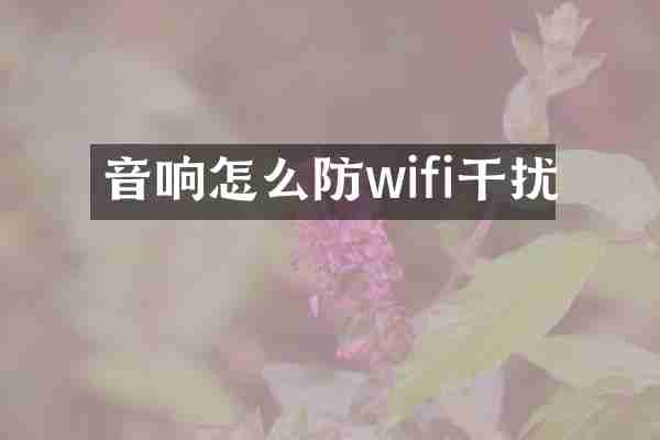 音响怎么防wifi干扰