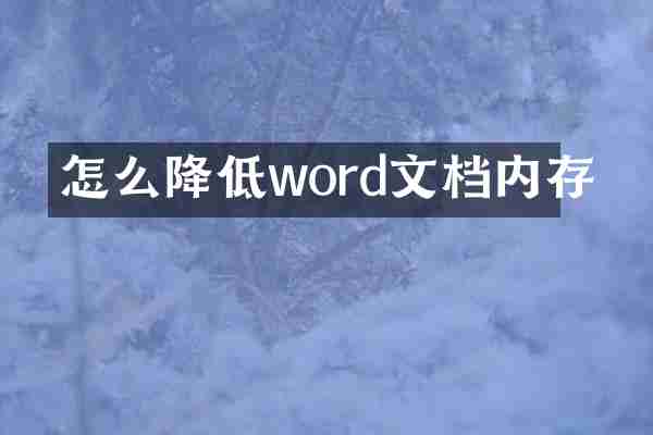 怎么降低word文档内存