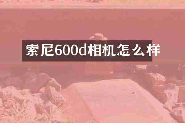 600d相机怎么样