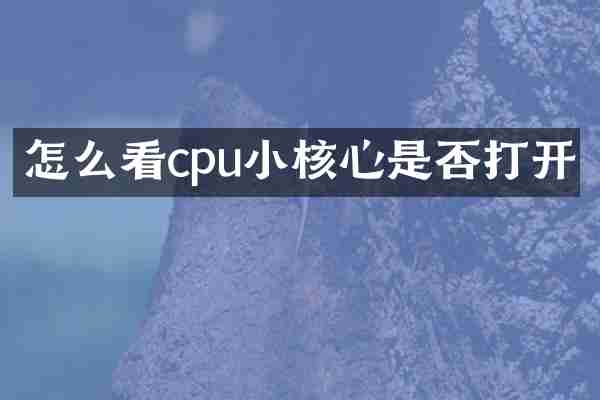 怎么看cpu小核心是否打开