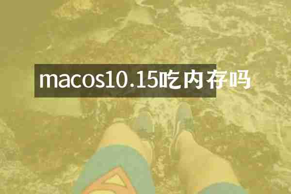 macos10.15吃内存吗