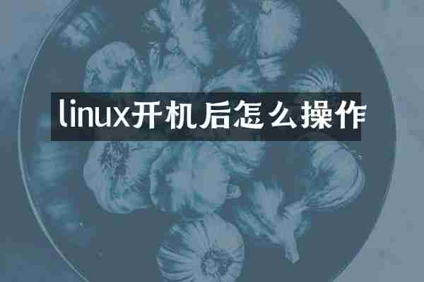 linux开机后怎么操作
