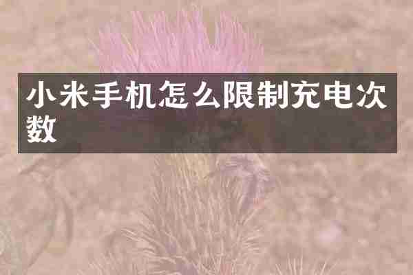 小米手机怎么限制充电次数