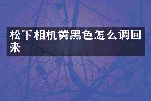 松下相机黄黑色怎么调回来