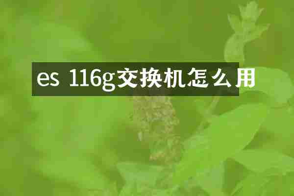 es 116g交换机怎么用