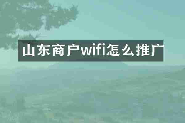 山东商户wifi怎么推广