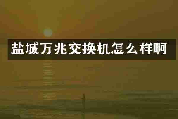 盐城万兆交换机怎么样啊