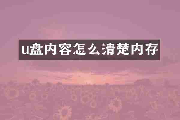 u盘内容怎么清楚内存