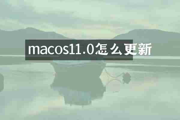 macos11.0怎么更新