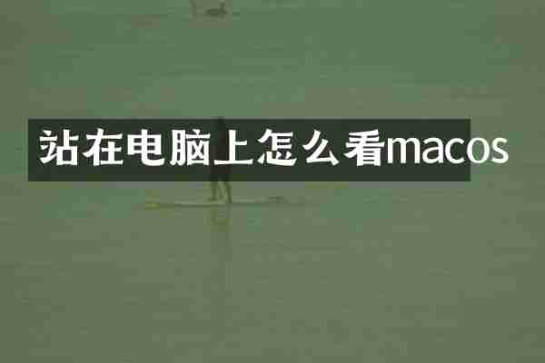 站在电脑上怎么看macos