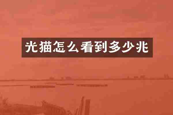光猫怎么看到多少兆