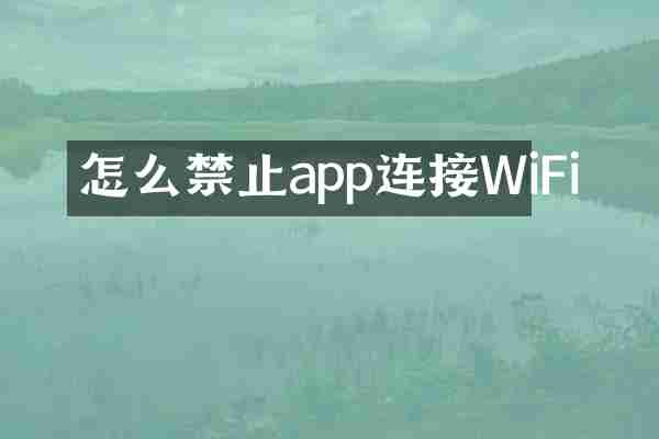 怎么禁止app连接WiFi
