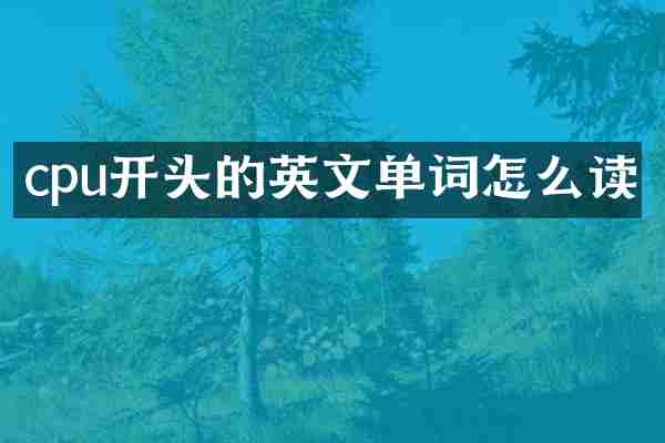 cpu开头的英文单词怎么读