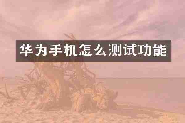 华为手机怎么测试功能