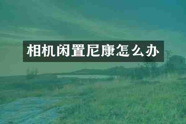 相机闲置尼康怎么办