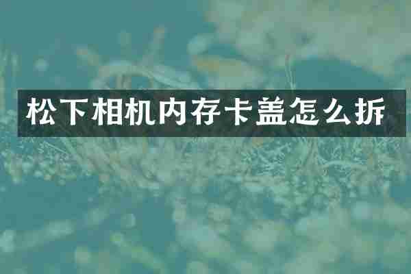 松下相机内存卡盖怎么拆