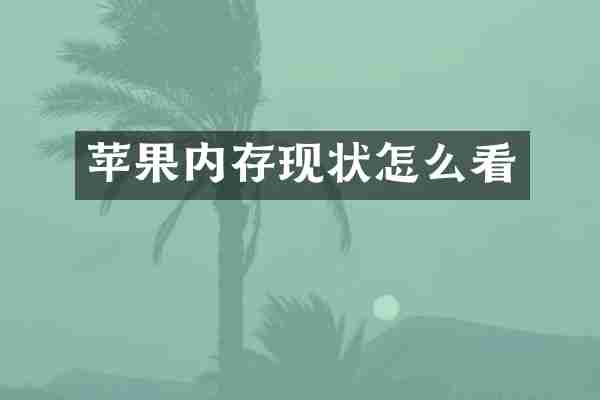 苹果内存现状怎么看