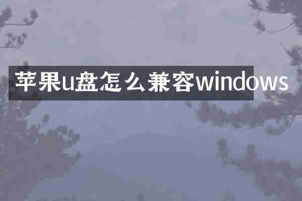 苹果u盘怎么兼容windows