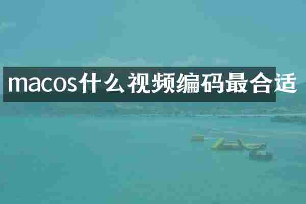 macos什么视频编码最合适