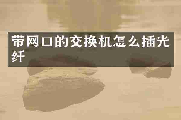 带网口的交换机怎么插光纤