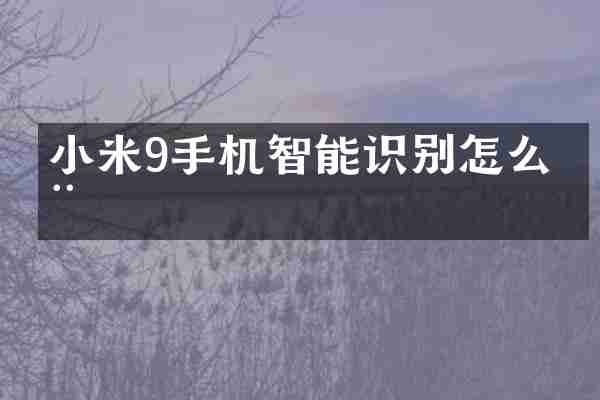 小米9手机智能识别怎么用