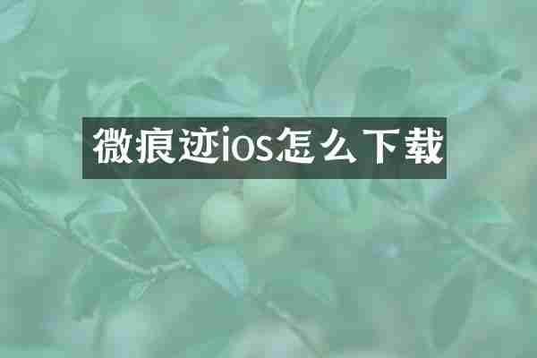 微痕迹ios怎么下载