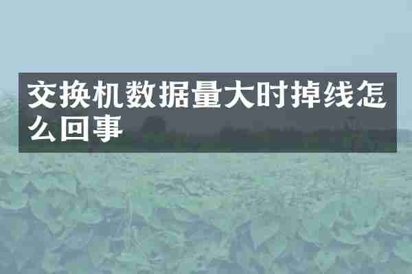 交换机数据量大时掉线怎么回事
