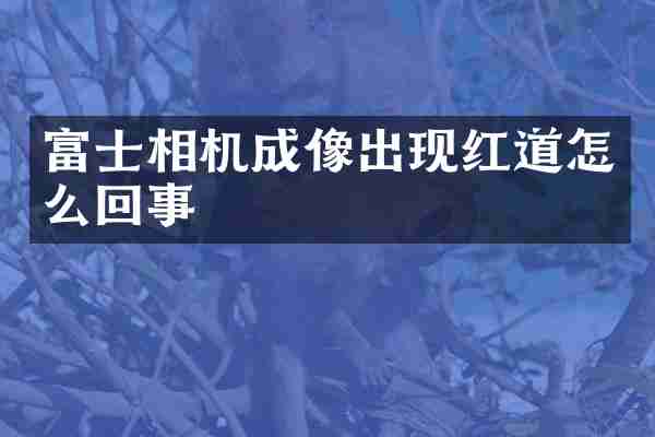 富士相机成像出现红道怎么回事