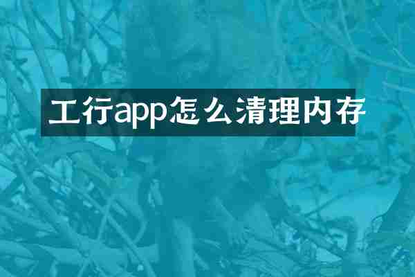 工行app怎么清理内存