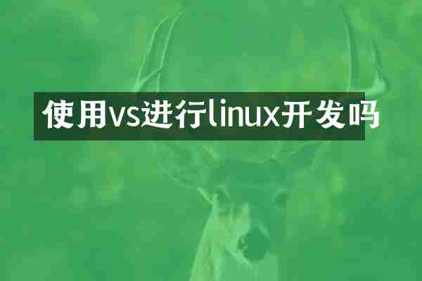 使用vs进行linux开发吗