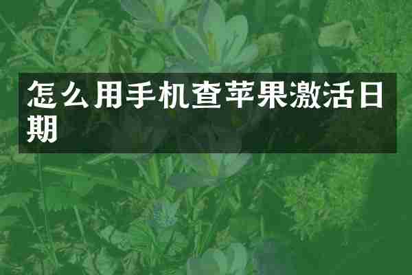 怎么用手机查苹果激活日期