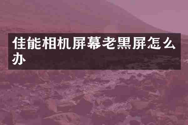 佳能相机屏幕老黑屏怎么办
