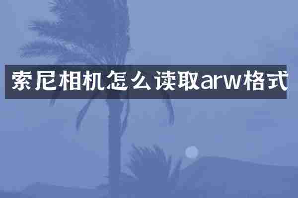 相机怎么读取arw格式
