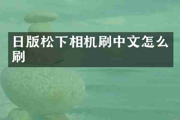 日版松下相机刷中文怎么刷