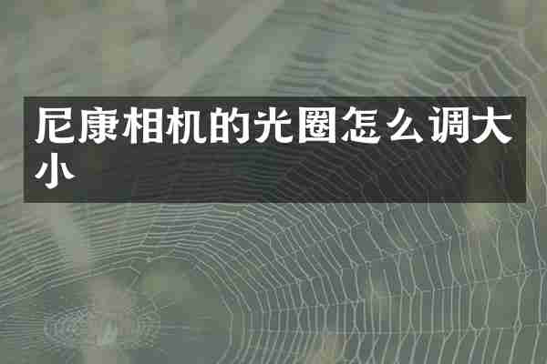 尼康相机的光圈怎么调大小