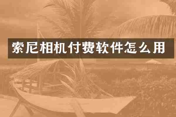 相机付费软件怎么用