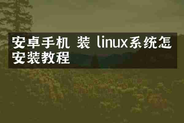 安卓手机 装 linux系统怎么安装教程