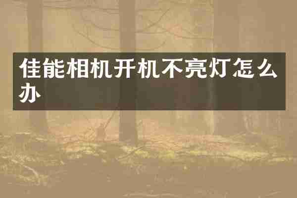 佳能相机开机不亮灯怎么办