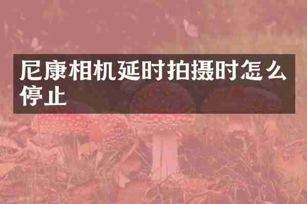 尼康相机延时拍摄时怎么停止