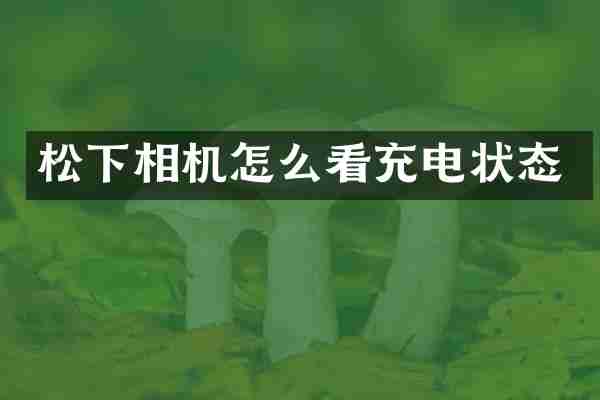 松下相机怎么看充电状态