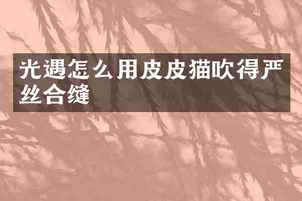 光遇怎么用皮皮猫吹得严丝合缝