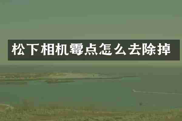 松下相机霉点怎么去除掉